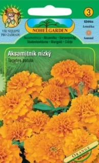 Aksamitník rozkladitý plnokvětý, oranžový (semena)