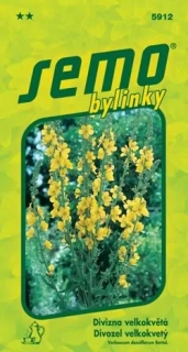 Divizna velkokvětá (semena)