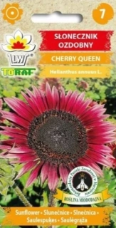 Slunečnice ozdobná, Cherry queen (semena)