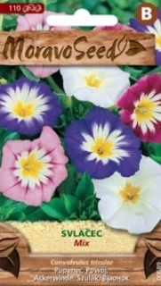 Svlačec trojbarevný pnoucí, směs (semena)