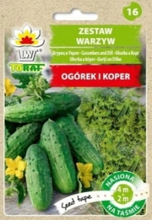 Okurka a kopr (výsevný pásek)