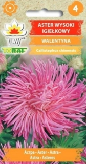 Astra čínská jehlicovitá, růžová Walentýna (semena)