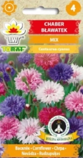 Chrpa polní, směs barev (semena)