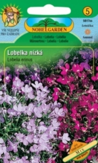 Lobelka drobná nízká, směs (semena)