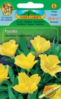 Pupalka missourská, žlutá (semena)