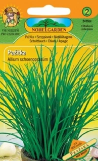 Pažitka pražská (semena)