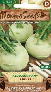 Kedluben k rychlení Korfu (semena)