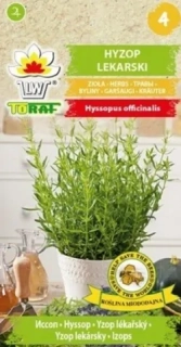 Yzop lékařský (semena)