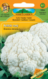 Květák raný, Bora (semena)