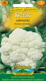 Květák celoroční (semena)
