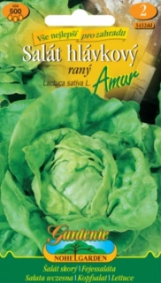 Salát raný hlávkový Amur (semena)