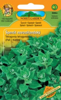 Špenát novozélandský (semena)