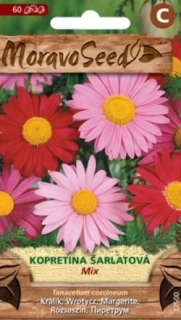 Kopretina šarlatová, směs (semena)
