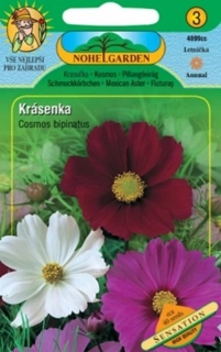 Krásenka zpeřená Sensation, směs (semena)